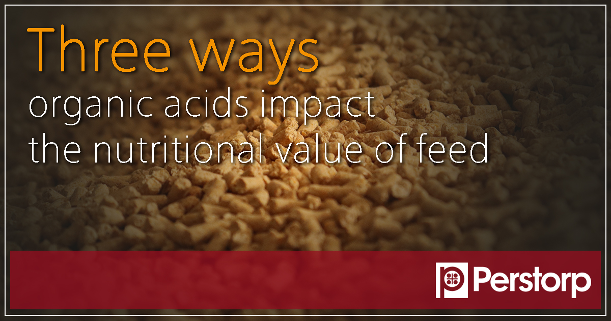 Three ways organic acids impact the nutritional value of feed