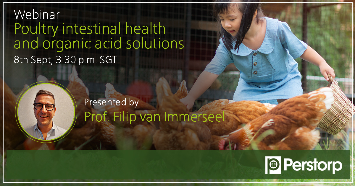  Poultry intestinal health and organic acid solutions