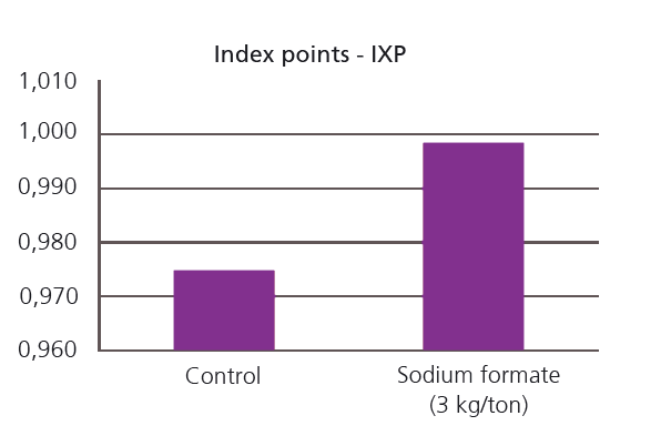Growers IXP graph