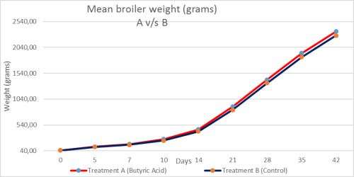 Graph of Mean broiler weight