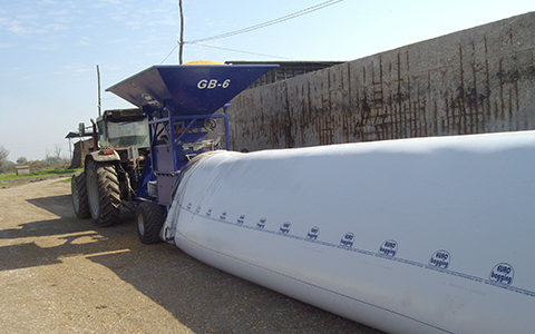 Bagged silage