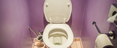  How gut health impacts stool quality