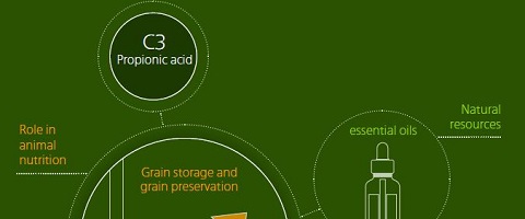  C3 propionic acid infographic