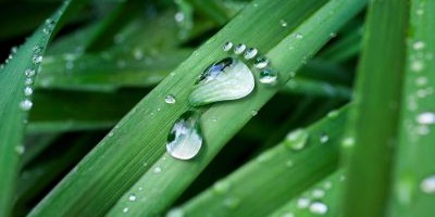  RE-carbonizing chemicals: A key to a sustainable chemical industry