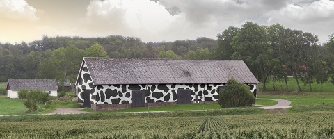  Are we reaching the tipping point for renewable coating solutions?
