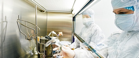  Exploring reduced antibiotic use in the Food Animal Production Industry