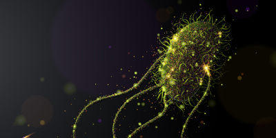 ProPhorce SA for Feed Hygiene A green shimmering bacteria