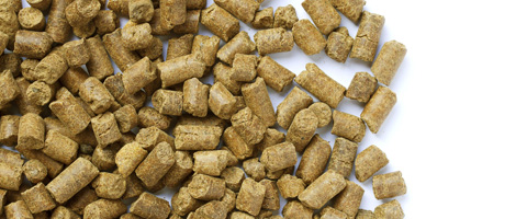 Feed pellets Feed pellets on white background