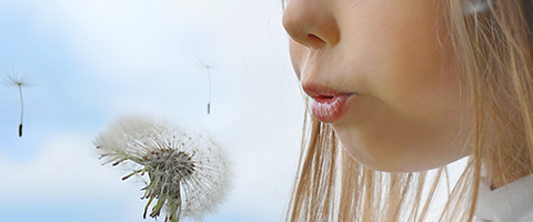 A child blowing air on a dandelion
