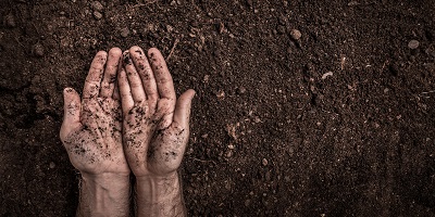  Interview with a Partner: How Amicult™ K42 is Transforming Crop Yields