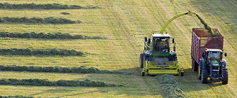  Practical advice for grassland management