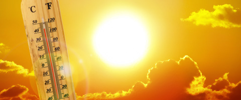  Dealing with dietary electrolyte balance optimally