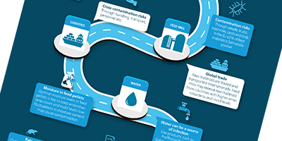  Infographic: don't roll the dice on enterobacteria