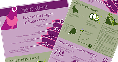 Heat Stress Infographic preview screenshots