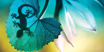  Reducing our own environmental impact 