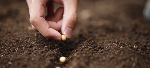  What is organic farming