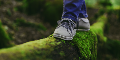  Achieving Scope 3 Targets with Perstorp’s Pro-Environment Solutions
