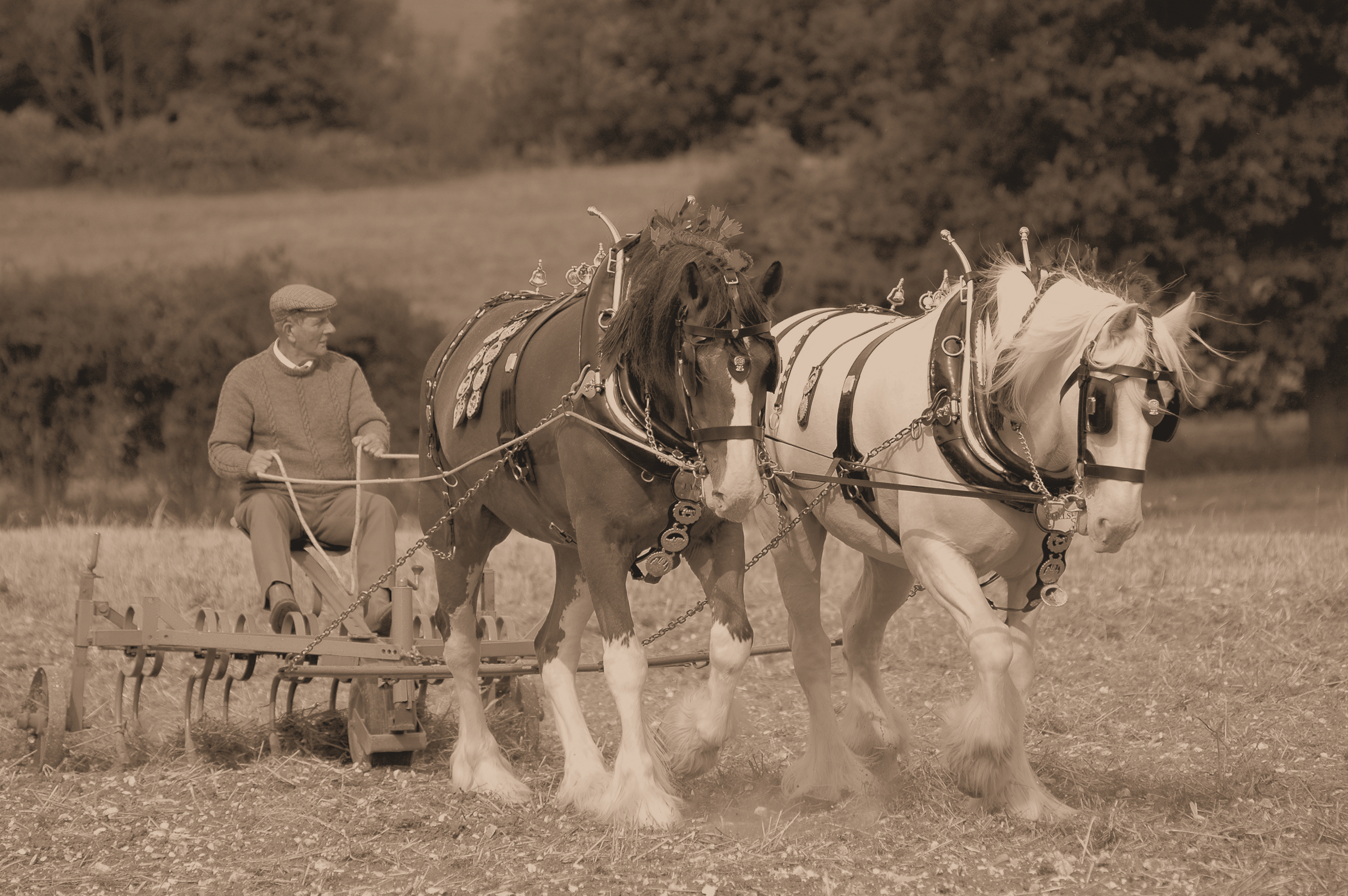  Remember November: the impact of climate change on the animal feed landscape