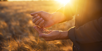 Farmer grain preservation