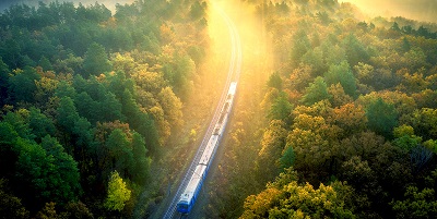Train running through sunlit forest