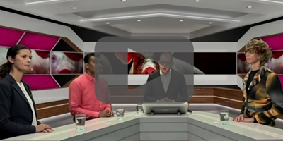 Webinar ‘No antibiotics ever’ in pig production