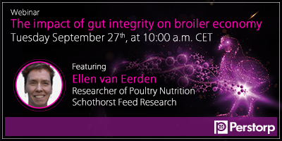 Webinar The impact of gut integrity on broiler economy