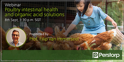 Webinar poultry intestinal health and organic acid solutions