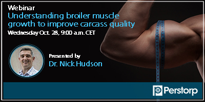  Understanding broiler muscle growth to improve carcass quality