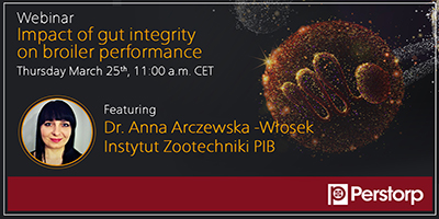  The impact of gut integrity on broiler performance