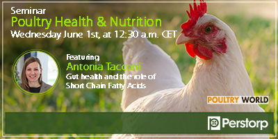 Webinar poultry health and nutrition