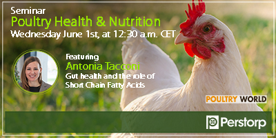 Webinar poultry health and nutrition