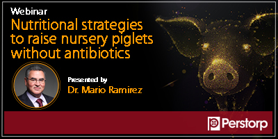  Nutritional strategies to raise nursery piglets without antibiotics