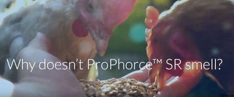  Why doesn’t ProPhorce™ SR smell?