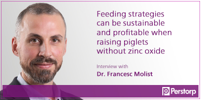  Feeding strategies can be sustainable and profitable when raising piglets without zinc oxide