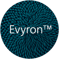 Evyron theme image Evyron theme image