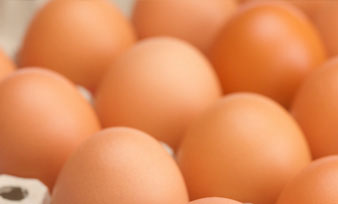 brown eggs