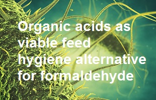 Organic acids as viabl feed hygiene alternative for formaldehyde