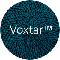 Voxtar theme image Voxtar theme image