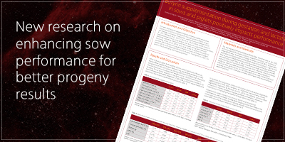  Enhancing sow performance for better progeny results
