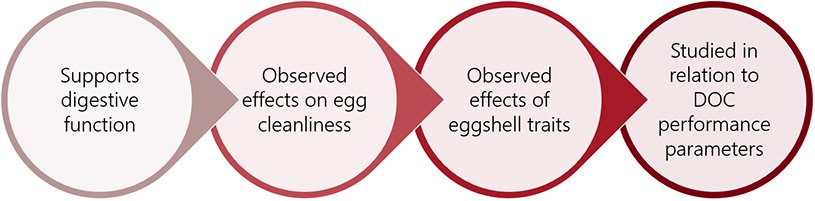 Benefits of butyric acid on broiler breeders and DOC's