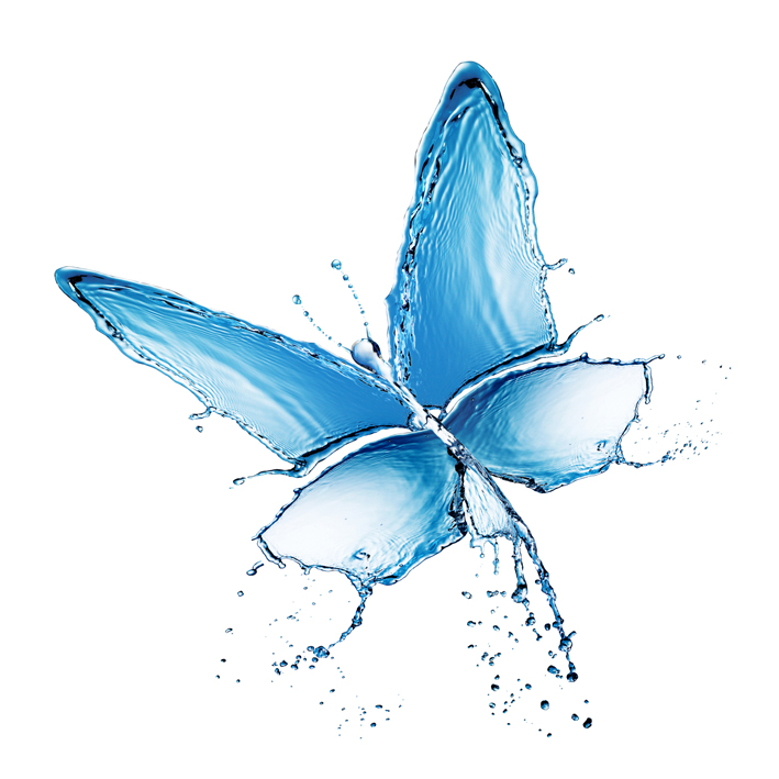 Blue Butterfly